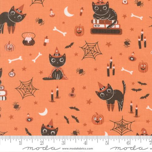 Purrs and Boos Pumpkin